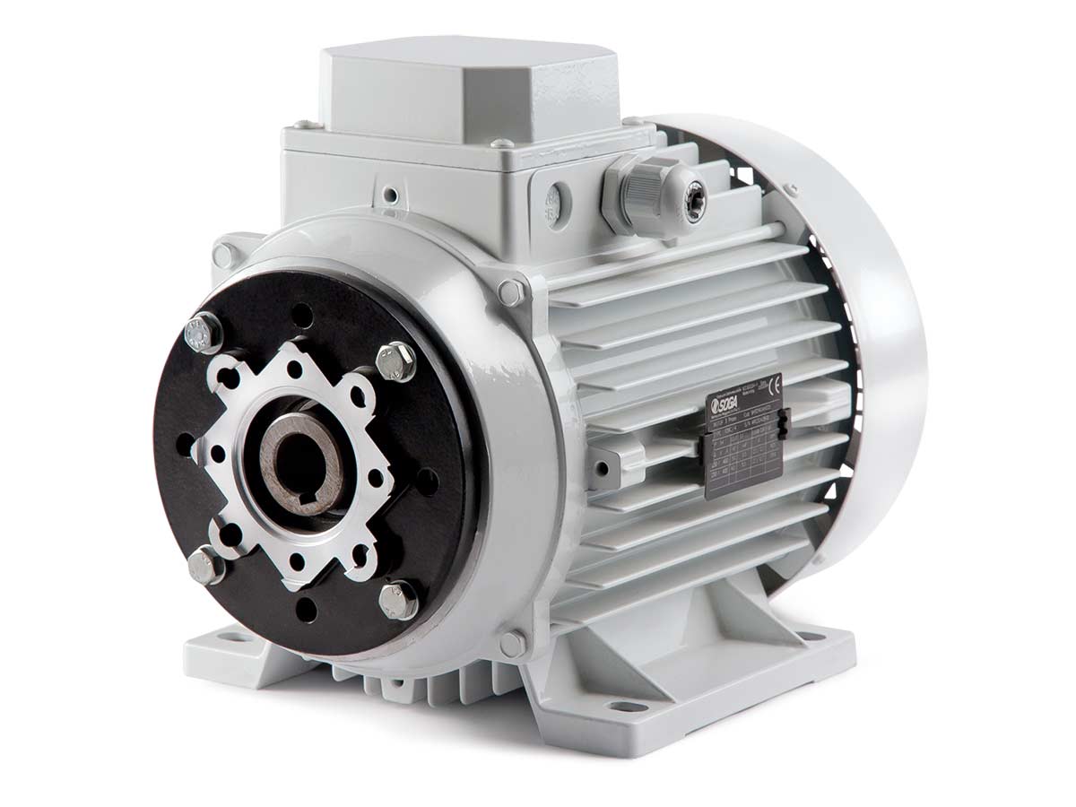 Motors Hollow Shaft Asynchronous – 3 Phase