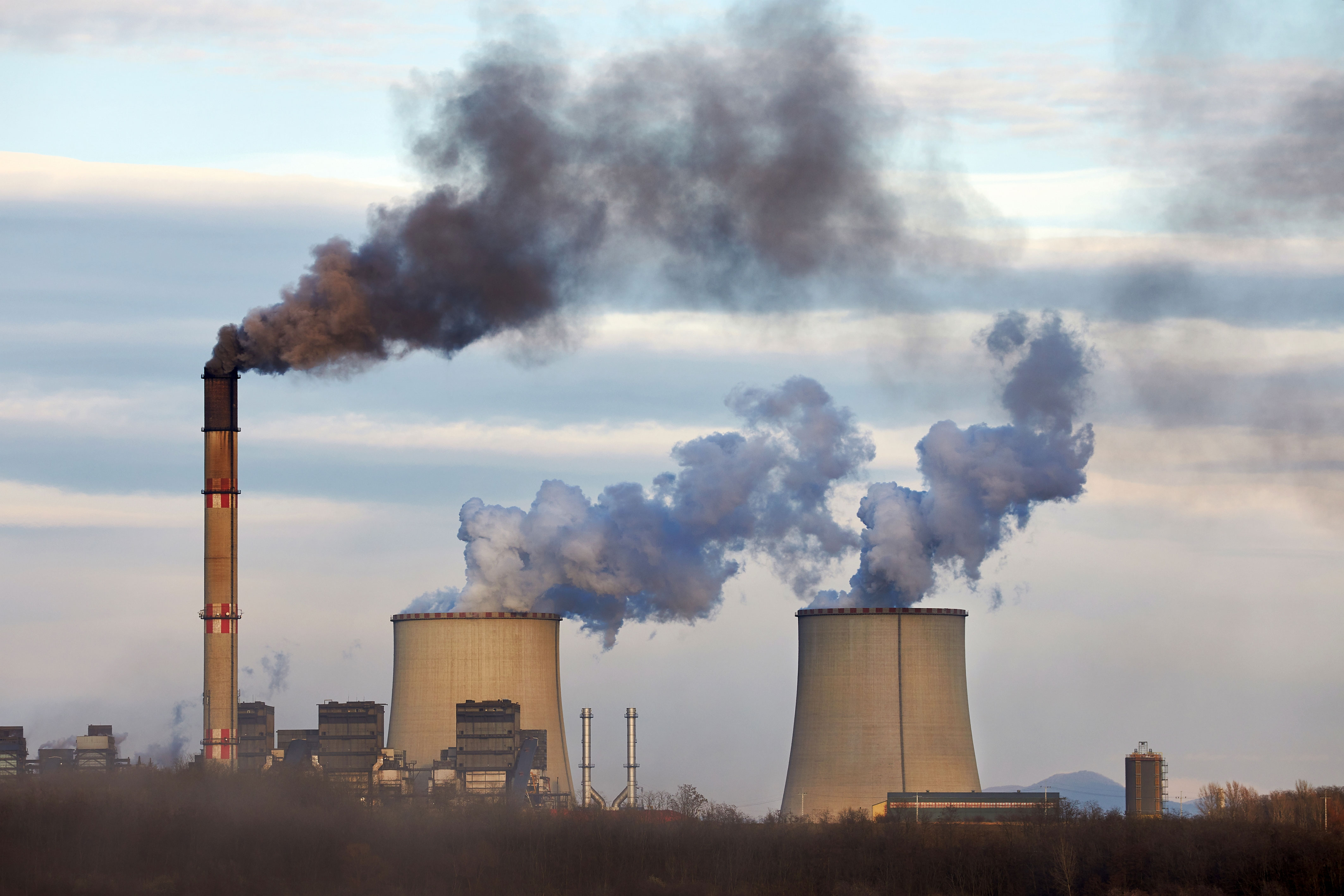The global race to slash emissions