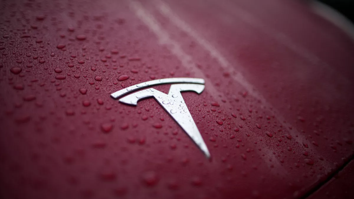 Tesla's Affordable EV: Paving the Way for 2025 Growth 🚘