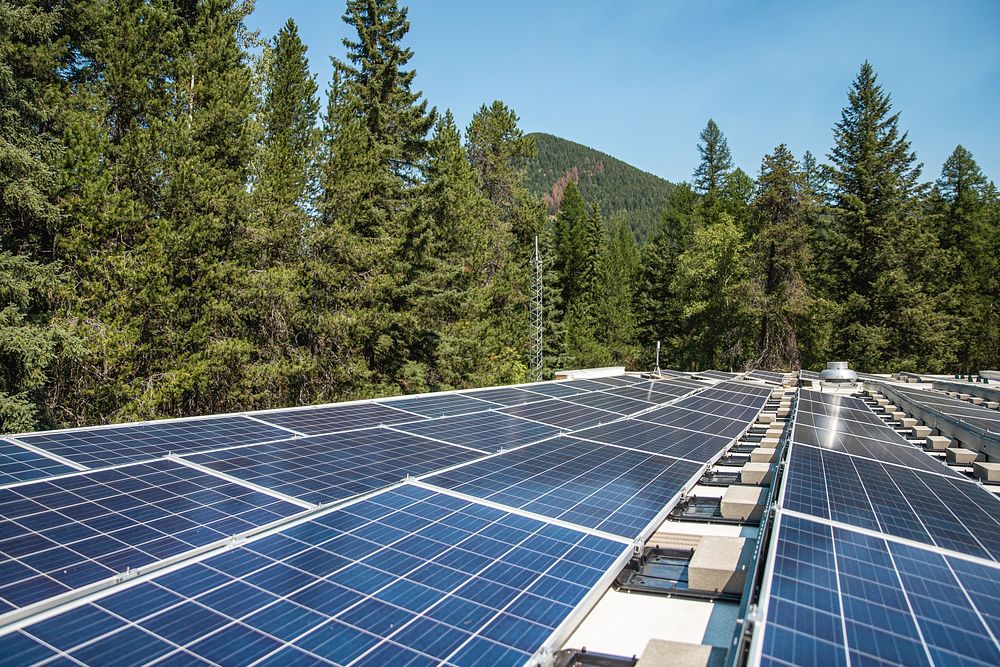 Germany Awards 2.15 GW in Solar Auction ☀️