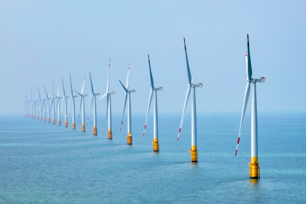 Offshore Wind Tenders in 2025: Global Markets Open New Opportunities 🌍