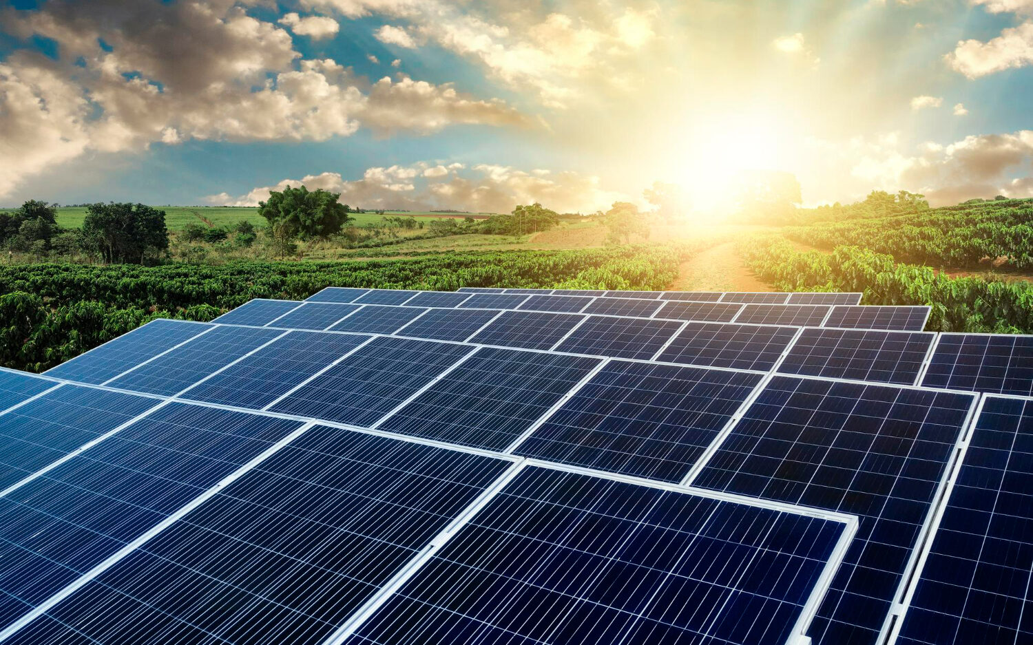 ☀️ Weekly Roundup: New Public Tenders for PV Projects Across France