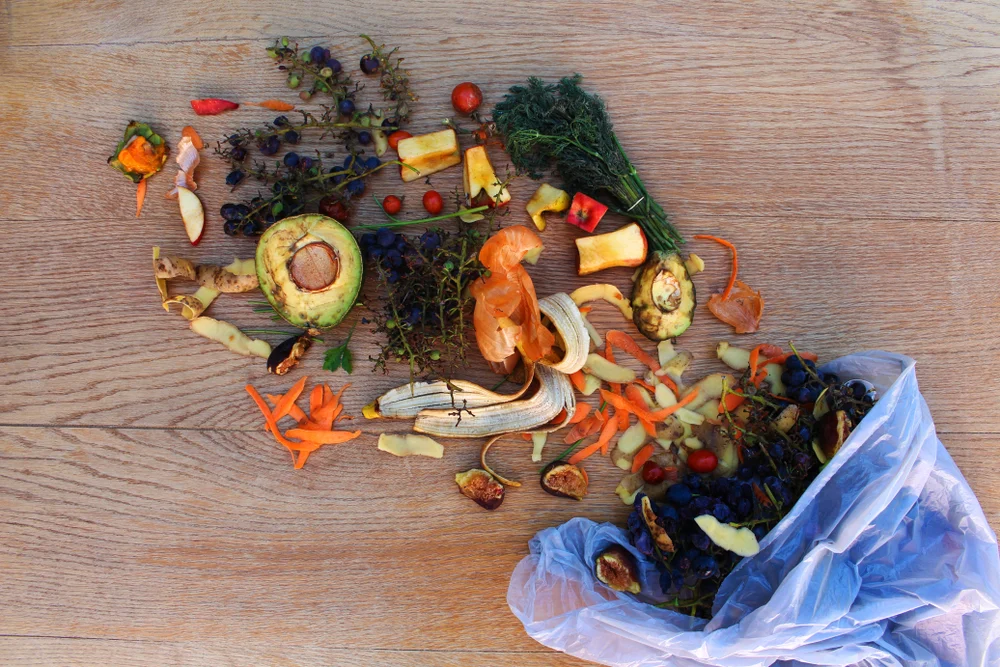 Coventry begins weekly food waste collections for AD