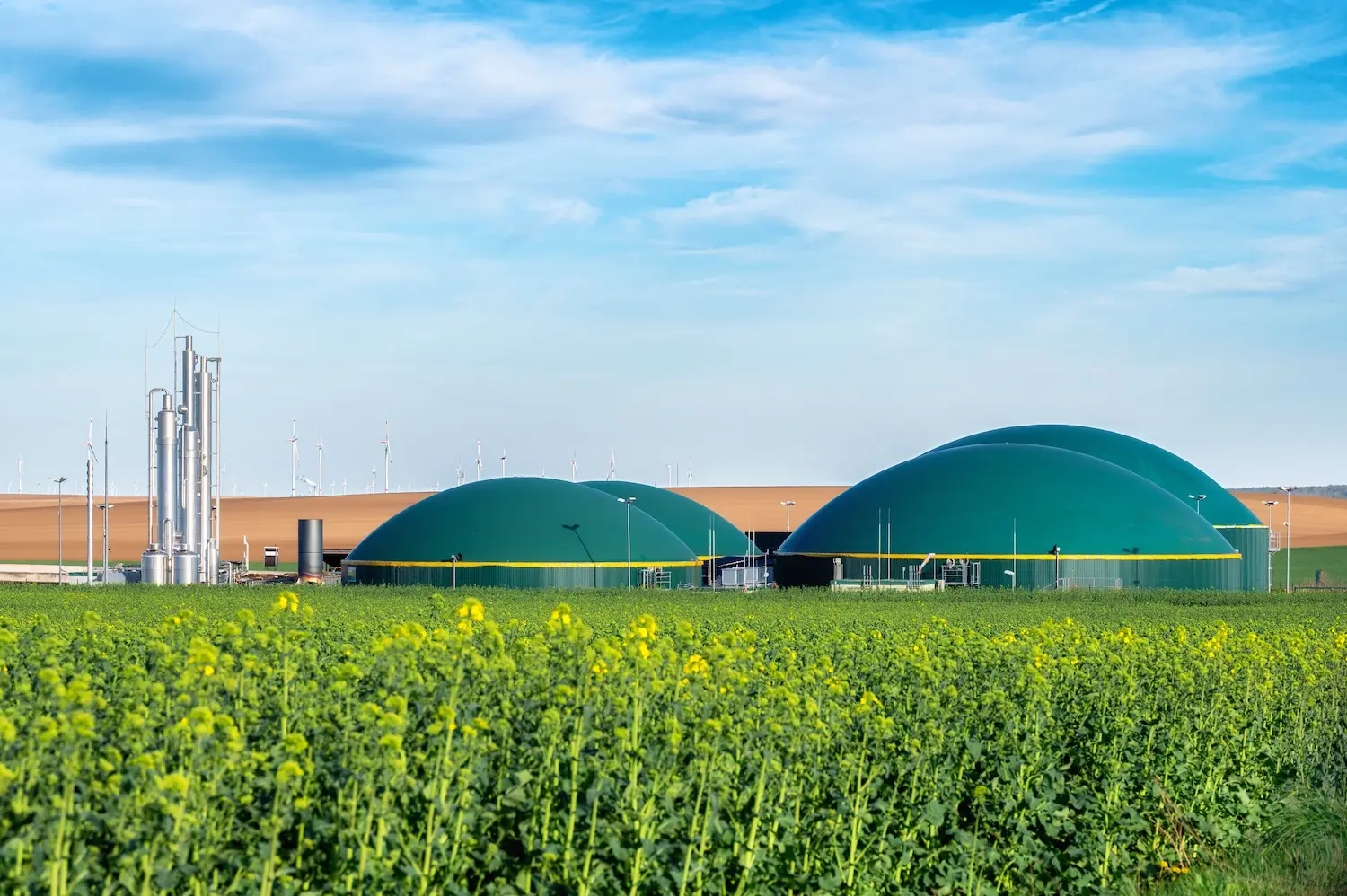 Bioenergy key to Europe’s energy security