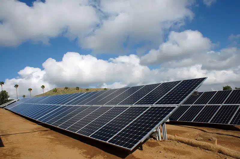 Belectric-CEO zum deutschen PV-Markt: „Ohne Speicher kein Markt “
