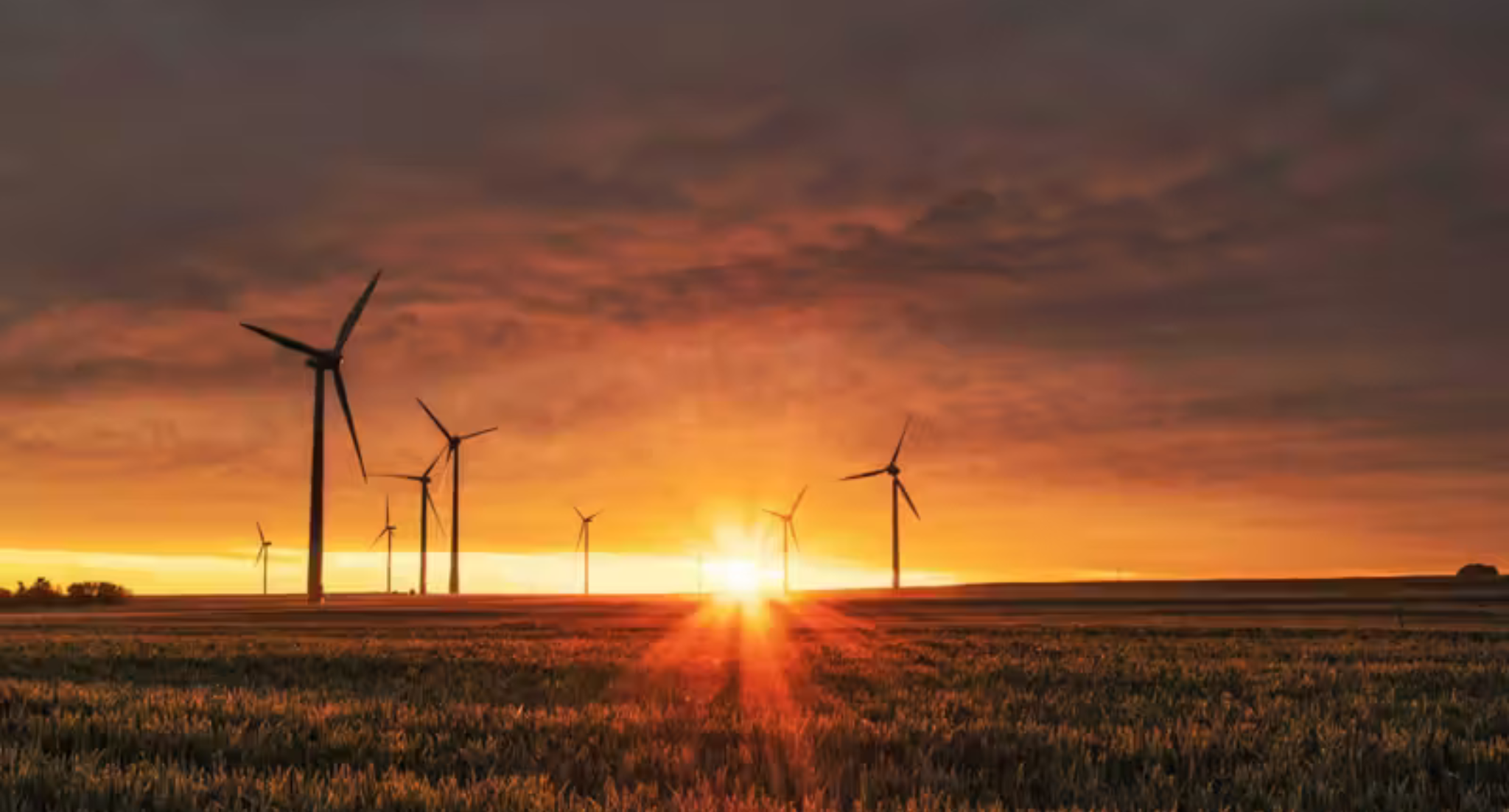 Houston scientists develop 'recharge-to-recycle' reactor for lithium-ion batteries